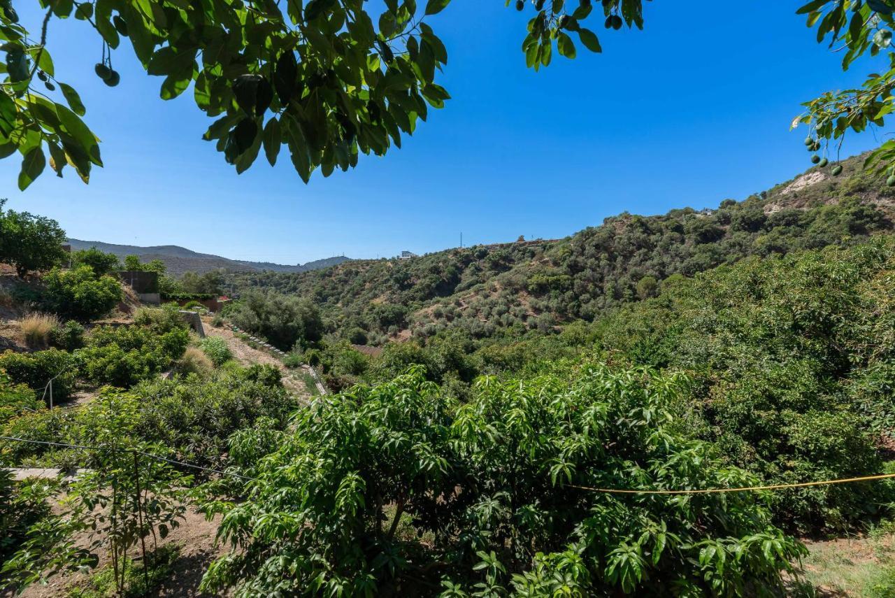 Casa Rural Entre Ojen Y Marbella المظهر الخارجي الصورة